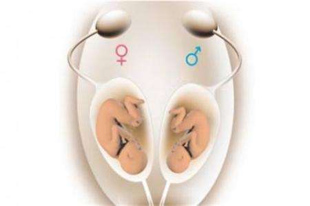 层流实验室